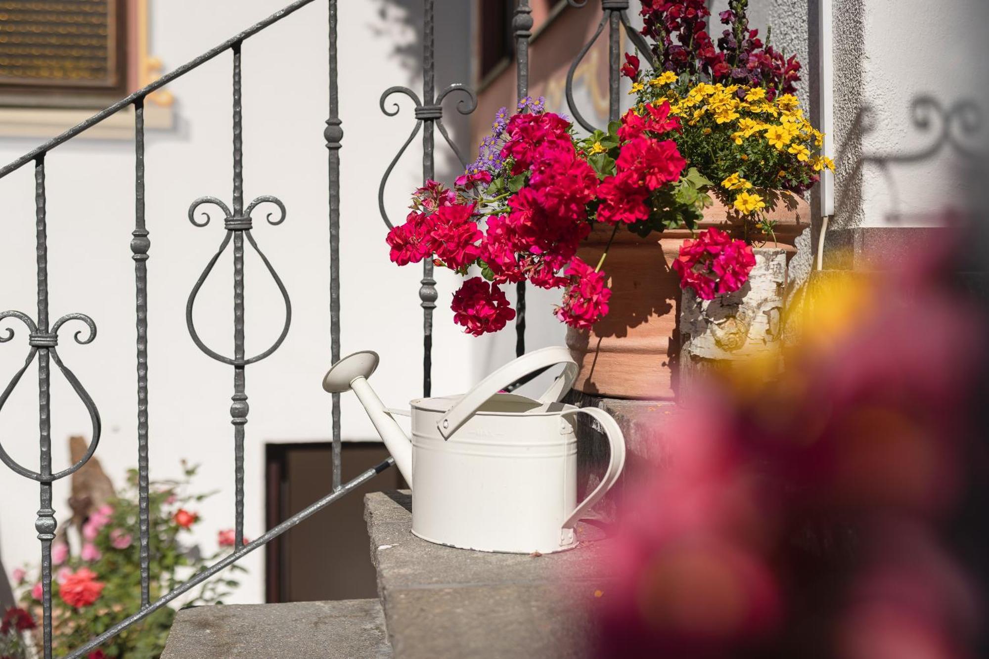 Pension Gulla - Ferienhaus Appartements B&B Neustift im Stubaital Buitenkant foto